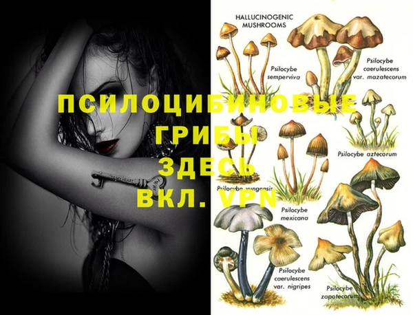MDMA Premium VHQ Сосновый Бор