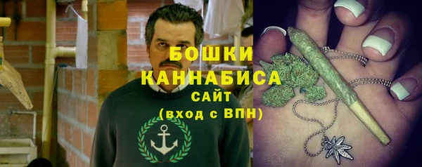 2c-b Сосновка