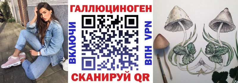Псилоцибиновые грибы MAGIC MUSHROOMS  дарк нет наркотические препараты  Кировград 